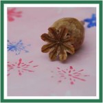 0-pink-poppy-snowflake-stamp-red