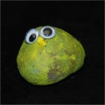 painting stones