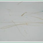2 scribbles in gold