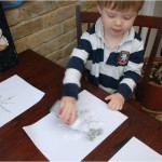 5 glitter snowflakes
