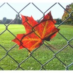 Fall Fence