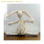 10 bunny waiting for features