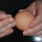 how to blow eggs