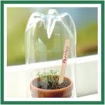 bottle glass house