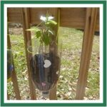 bottle seedling pot