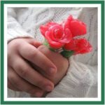 sweet roses