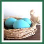 blue egg nest