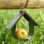 hanging bird feeder  coffee bean  bring the birds into your garden