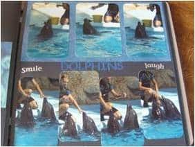 how to scrapbook