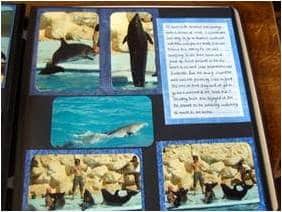 crafts scrapbooking