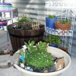 fairy garden