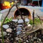 fairy garden