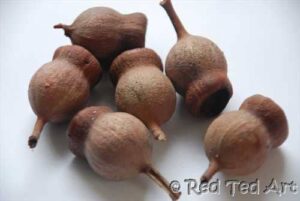 gumnut crafts