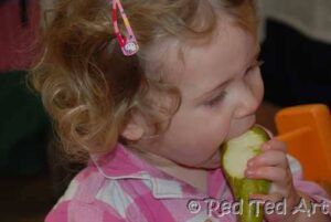 vegetable animal craft