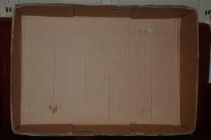 cardboard dolls house