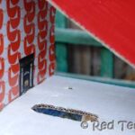 cardboard dolls house