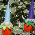 christmas elves physalis (2)
