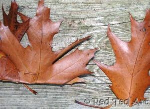 leaf crown leaf crown