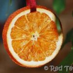 how to dry orange slices