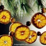 orange slices