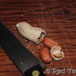 peanut crafts