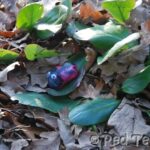outdoor activities for kids