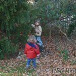 outdoor activities for kids