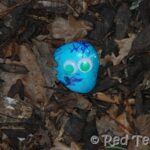 outdoor activities for kids
