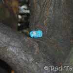outdoor activities for kids