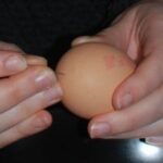 easter eggs