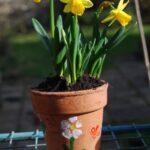 spring crafts flower pot
