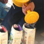 vegetable gardening planting
