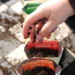vegetable gardening
