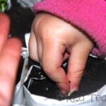 planting seeds kids