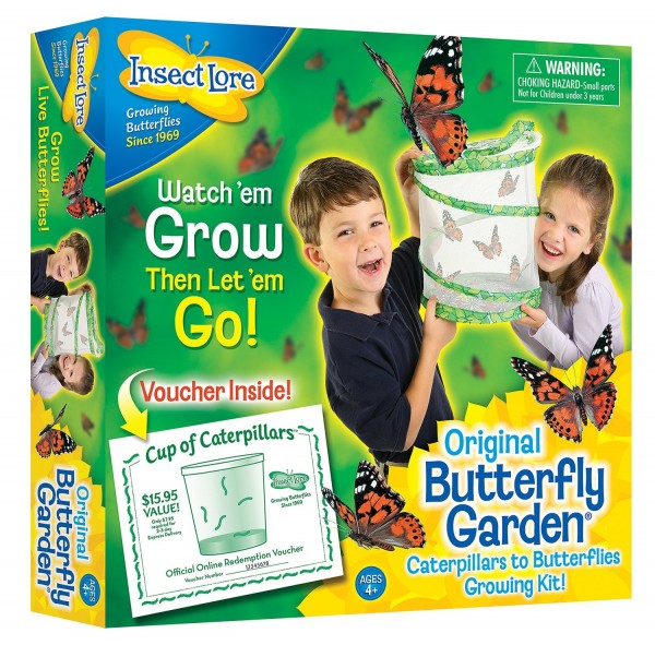 butterfly life cycle kit