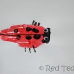 ladybugs