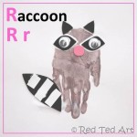 raccoon