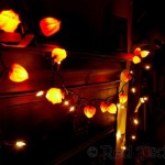 phylasis craft ideas
