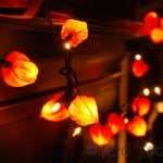phylasis craft ideas