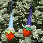 physalis elves