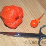 fall crafts