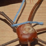 chest nut crafts