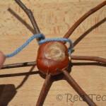 conker crafts (2)