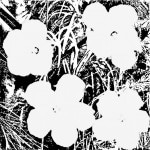 flowers 2