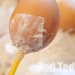 DIY Maracas - thrifty crafts