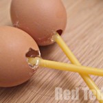 Homemade Maracas