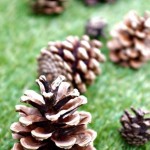 Pine cone craft ideas