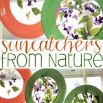 nature-suncatcher