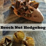 How to make a beech nut hedgehog