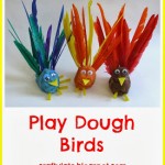 PlayDoughBirdsColl